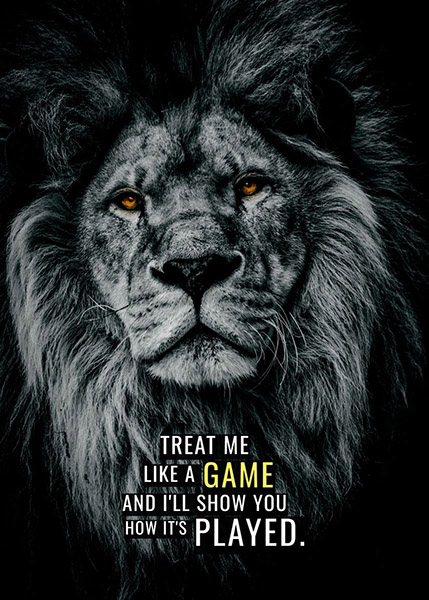 Never treat me like a game animal motivational Poster