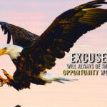 No more Excuses animal motivational Poster