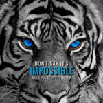 Nothing is Impossible animal motivational Poster