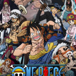 One Piece Dressrosa saga Poster