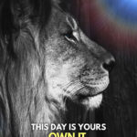 Own your day animal motivational Poster