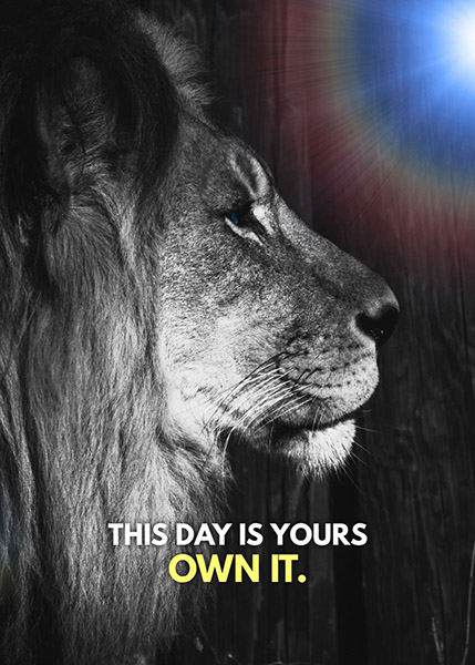 Own your day animal motivational Poster