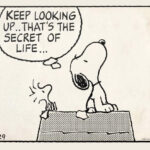 Peanuts - Keep Looking Up Poster