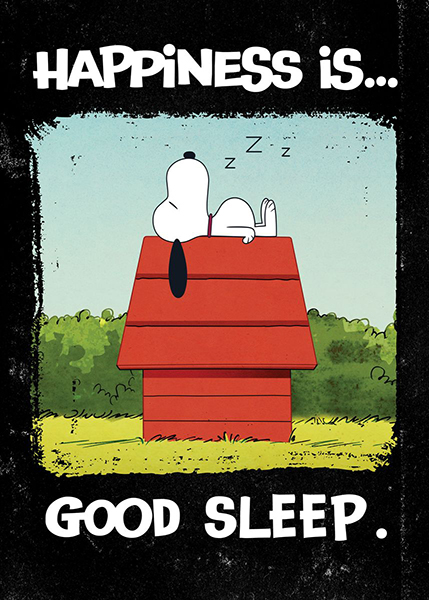 Peanuts Snoopy Happiness is good sleep Poster