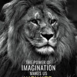 Power of imagination makes us infinite animal motivational Poster