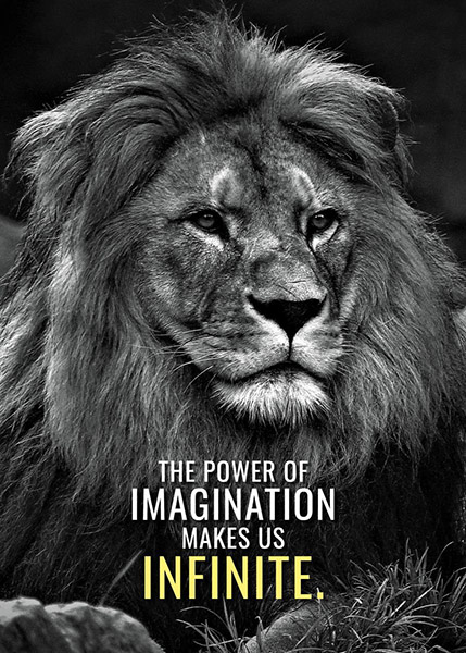 Power of imagination makes us infinite animal motivational Poster
