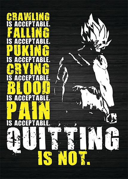 Quitting is Not Acceptable Motivational Dragon Ball Poster