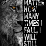 Rise till you fall animal motivational Poster