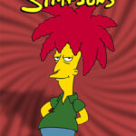 Season 20 The Simpsons Poster