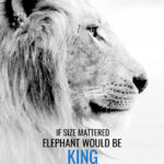 Size doesn't matter to be a king motivational Poster