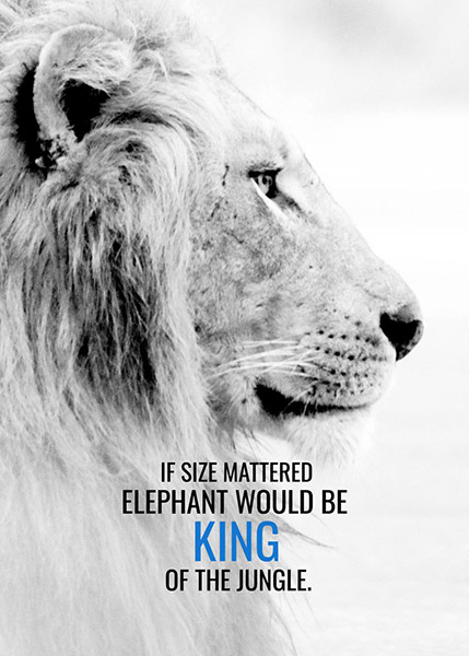 Size doesn't matter to be a king motivational Poster