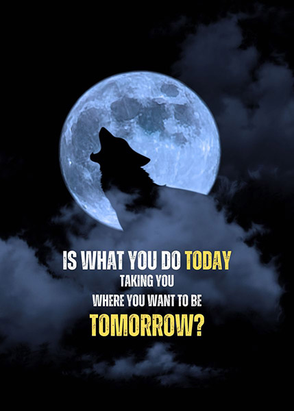 Start now to Shape your Tomorrow animal motivational Poster