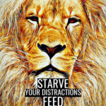 Starve your distractions feed your focus animal motivational Poster