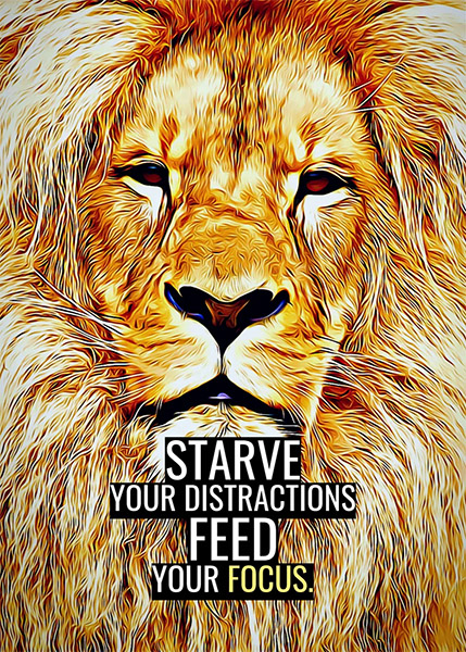 Starve your distractions feed your focus animal motivational Poster
