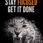 Stay Focused Get it done animal motivational Poster
