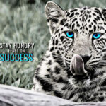 Stay Hungry Feast on Success animal motivational Poster