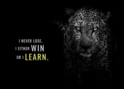 Steps to Victory animal motivational Poster