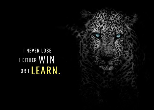 Steps to Victory animal motivational Poster