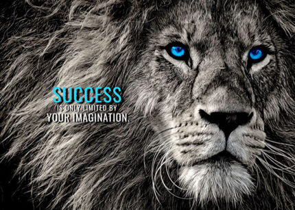 Success is only imagined by your imagination animal motivational Poster
