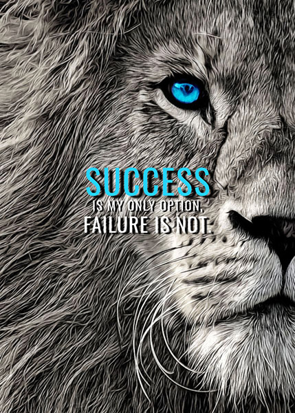 Success only option not failure animal motivational Poster