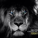 Success Starts Now or Never animal motivational Poster