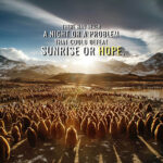 Sunrise or Hope animal motivational Poster
