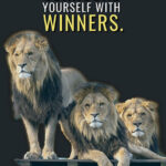 Surround yourself with winners animal motivational Poster