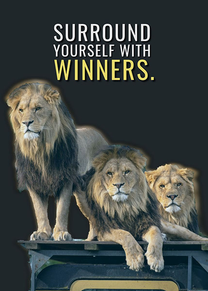 Surround yourself with winners animal motivational Poster