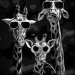 Cool Giraffes funny Poster