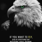 Time to fly animal motivational Poster