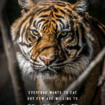 Time to Hunt animal motivational Poster