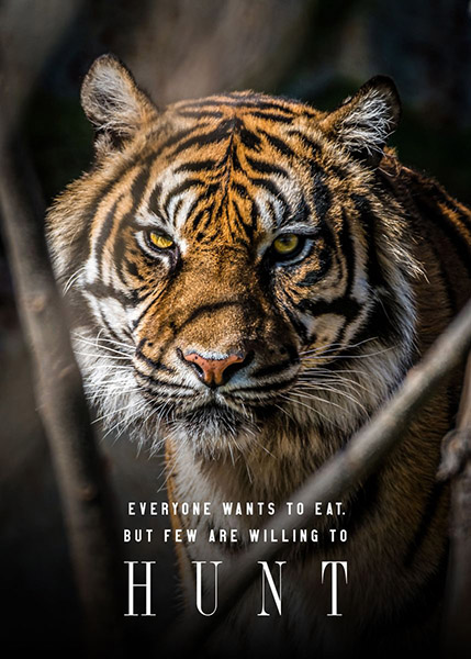 Time to Hunt animal motivational Poster