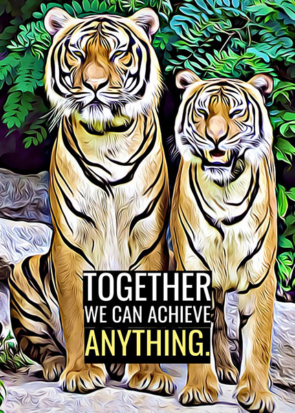Together we can achieve anything animal motivational Poster