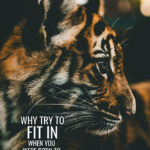 Try to stand out rather fit in animal motivational Poster