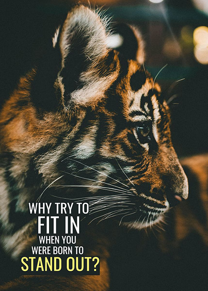 Try to stand out rather fit in animal motivational Poster