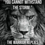 Warrior I AM The Storm Poster