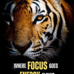 Where focus goes energy flows animal motivational Poster
