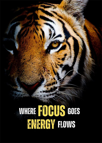 Where focus goes energy flows animal motivational Poster