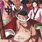 Whitebeard Pirates One Piece Poster