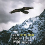 Wide wings animal motivational Poster