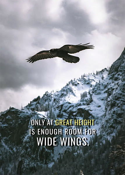 Wide wings animal motivational Poster