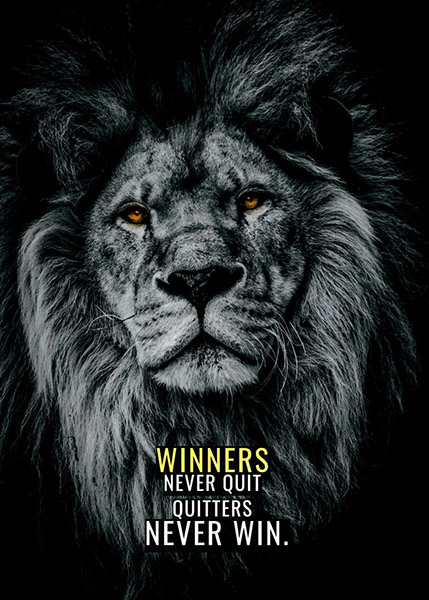 Winners never quit animal motivational Poster
