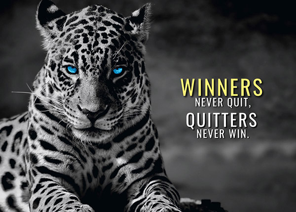 Winners Never Quit animal motivational Poster