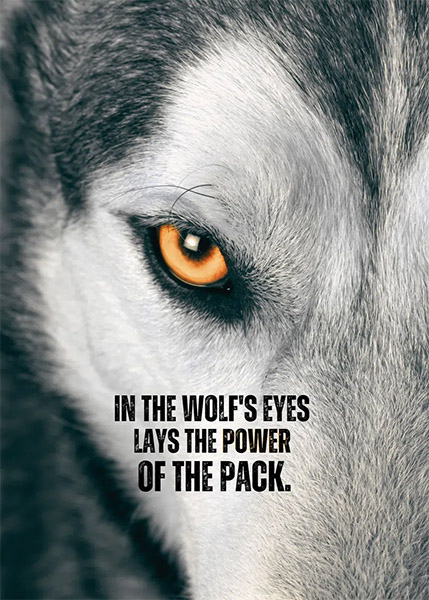 Wolf Pack animal motivational Poster