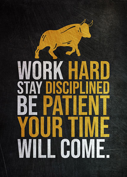 Work Hard Stay Disciplined be Patient Success Poster